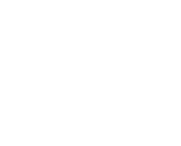 Dollar a day