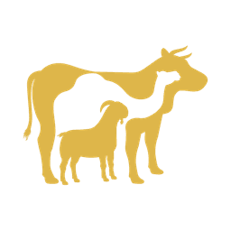 Qurbani Offering